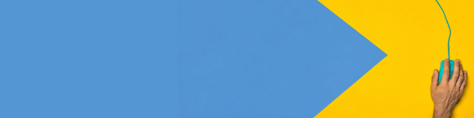 Products Portfolio Banner